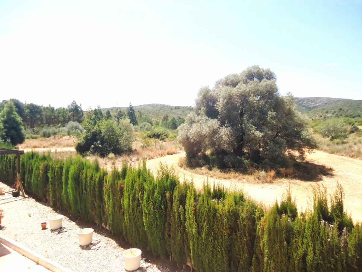 Los Olivos Residencial Lek Peñíscola Eksteriør billede